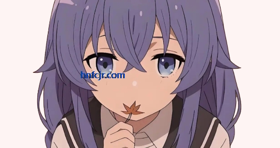 լϷ°汾