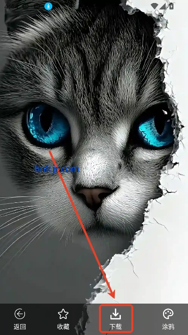ռappͼƬ