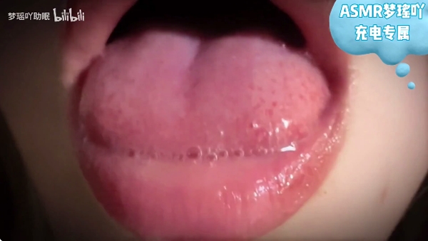 BiliPai纯净版无广告 BiliPai纯净版无广告