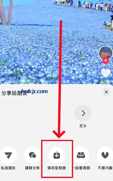 �����ڲ�汾app