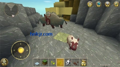 ����������ֱװ�ֻ���