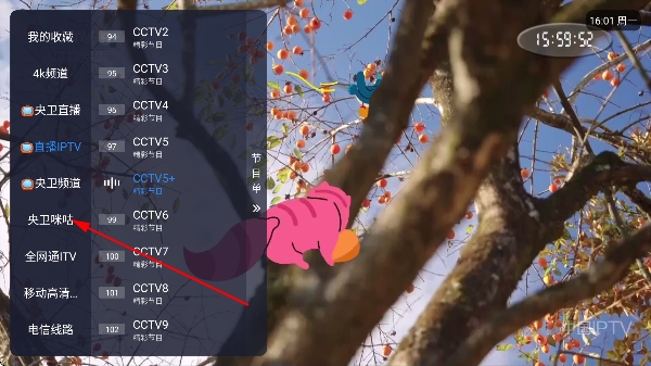 娜的小店tv电视版 娜的小店tv电视版