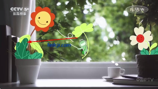 娜的小店tv电视版 娜的小店tv电视版