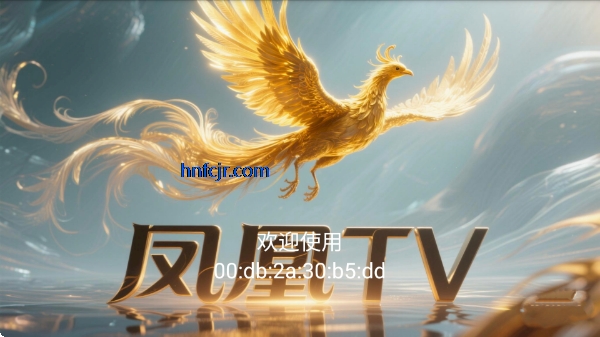 ���tv�޸���