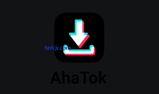 Tk下载器 Snaptik(AhaTok Downloader) Tk下载器 Snaptik(AhaTok Downloader)