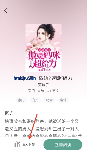 ����С˵�����Ķ�