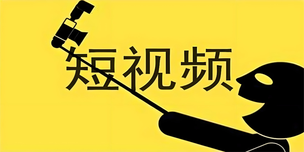 ����Ƶ������ȫ