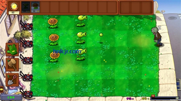 ֲ���ս��ʬ�ξ���(PlantsVsZombiesDream)