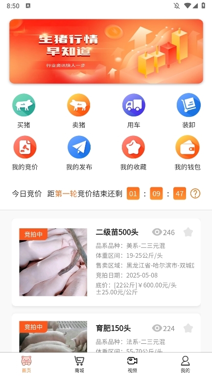 猪猪交友 安卓版 注册界面