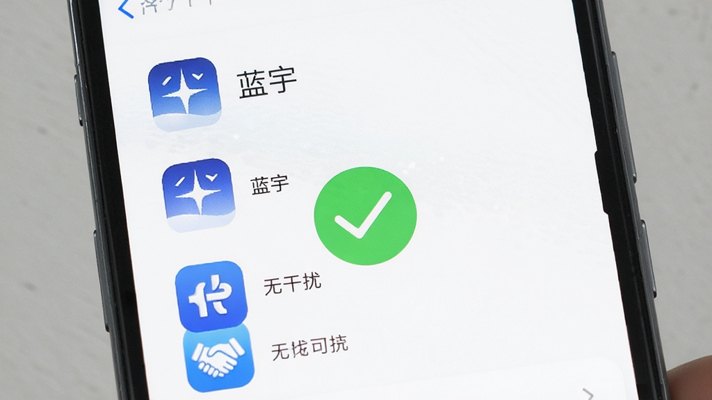 手机屏幕显示“蓝宇”应用的功能列表页面,每个功能图标旁边都有清晰的中文标签,背景干净无广告横幅,画面中央有一个绿色的对勾符号,表示无干扰,整体风格清爽,画质干净,无多余元素