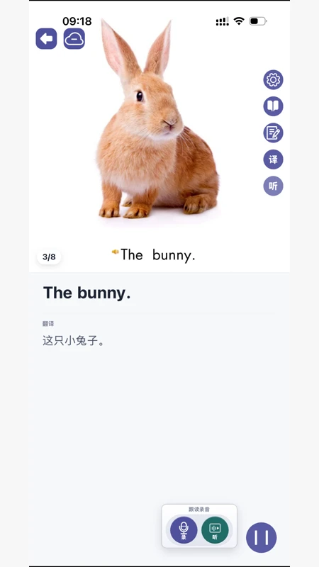 ��ߴ����-Ȥζ����������ͼ2