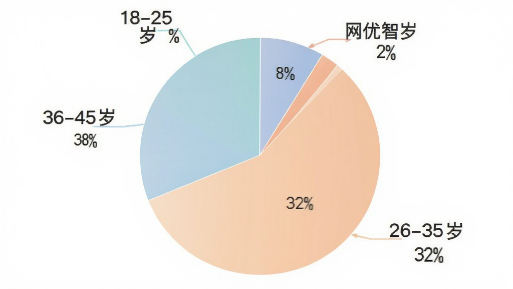 一张饼状图展示网优智电用户年龄分布,图中标注“18-25岁 8%”“26-35岁 32%”“36-45岁 38%”“46-60岁 22%”,图表配色柔和,背景干净,文字清晰,风格简洁,画质高,无多余元素