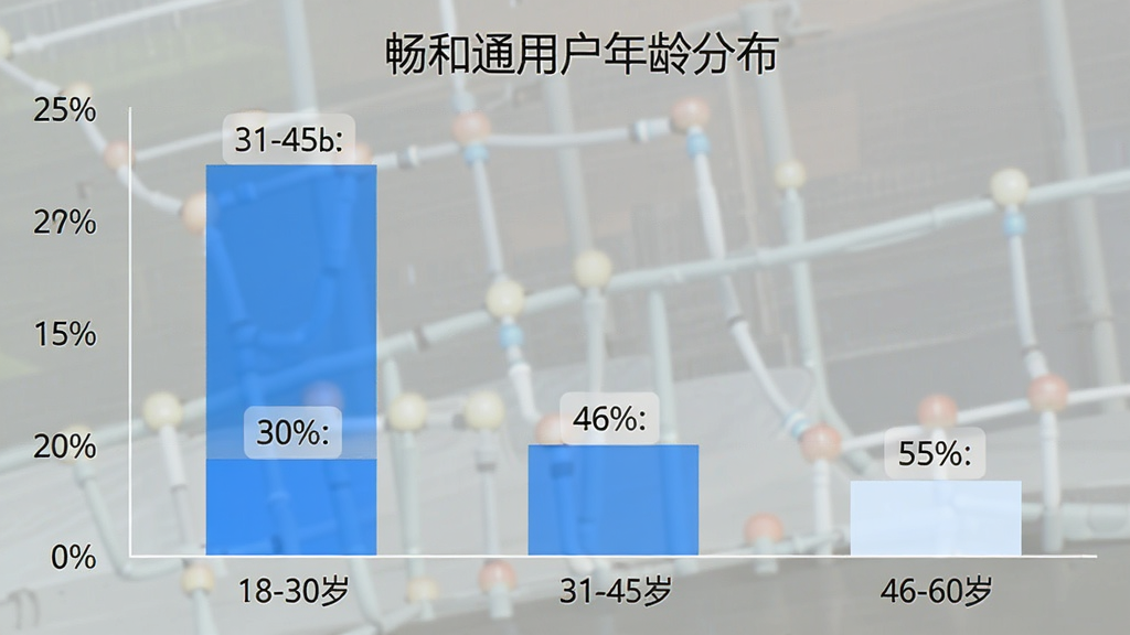 畅和通用户年龄分布柱状图,横轴为年龄段18-30岁、31-45岁、46-60岁,纵轴为用户占比百分比,柱状图显示31-45岁占比最高,46-60岁次之,18-30岁第三,图表标题“畅和通用户年龄分布”,蓝白配色,数据标签清晰,风格简洁现代,画质干净无多余元素