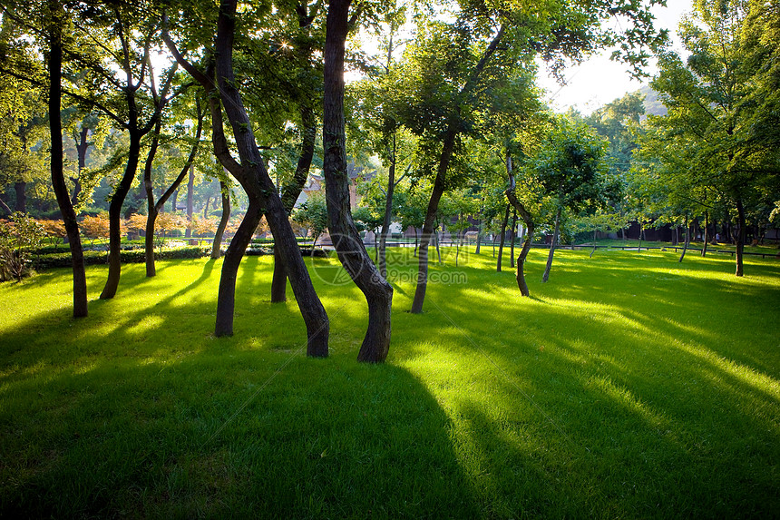 ����WiFi����Կ�� ��׿�� �����ͼ
