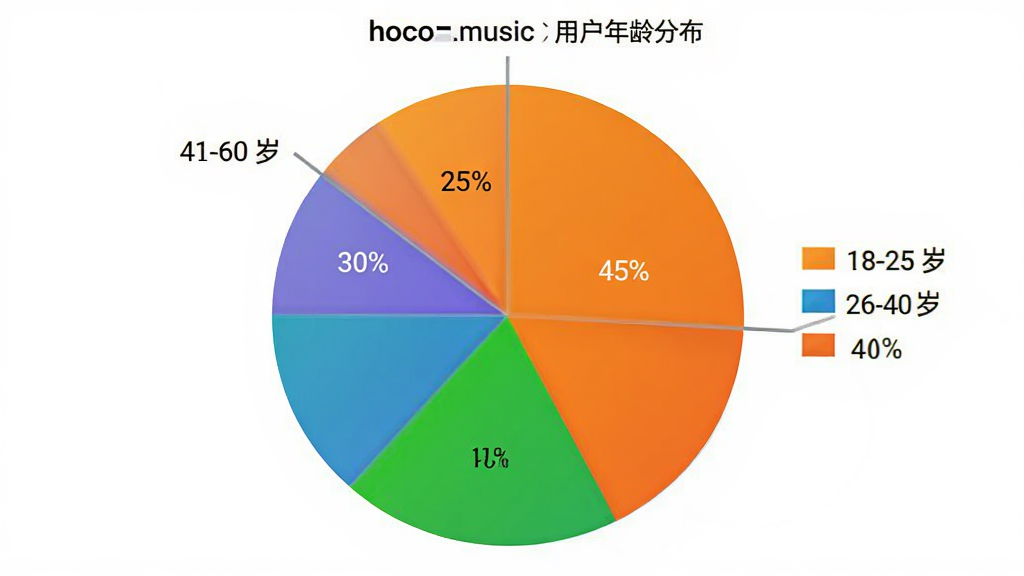 hoco.music 用户年龄分布饼状图,18-25岁占比30%,26-40岁占比45%,41-60岁占比25%,色彩鲜明,图表清晰