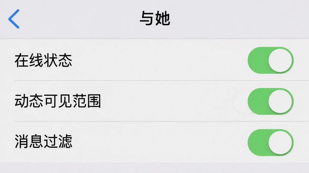 手机设置界面截图,展示“与她”软件的隐私设置选项,包括“在线状态”、“动态可见范围”、“消息过滤”等开关按钮,背景是淡灰色,界面布局清晰,风格严谨专业,画质锐利无噪点
