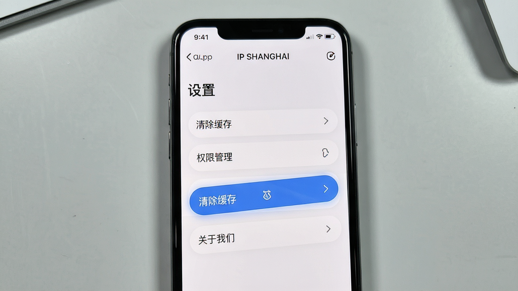 һ��չʾ��IP SHANGHAI��App�������ý����ͼƬ�������������ֻ���Ļ����Ļ����ʾ��IP SHANGHAI��App�ġ����á�ҳ�棬������������桱��Ȩ�޹��������������ǡ���ѡ����С�������桱��ť��������ʾ�����ֲ����ֻ�����ƽ�ӣ�������ǳ��ɫ���档���Ϊ�����̷̳磬ϸ�ڰ�����ť��Բ�ǡ����ֵĲ㼶�����ʸɾ����޶���Ԫ�ء�