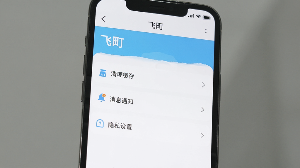 �ֻ���Ļ��ʾ�����App������ҳ�棬�С��������桱����Ϣ֪ͨ������˽���á���ѡ������԰�ɫ��ǳ��ɫΪ������������������࣬���ʸɾ��޶���Ԫ��