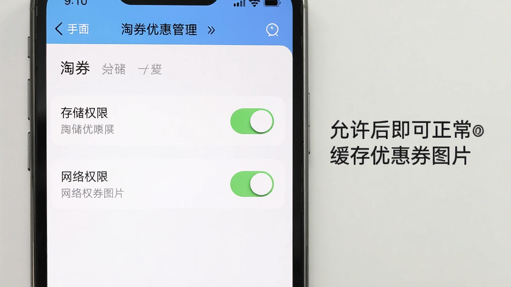 淘券优惠多多 手机设置权限管理界面,展示存储权限和网络权限的开关状态,旁边有文字标注“允许后即可正常缓存优惠券图片”,风格清晰,画质干净