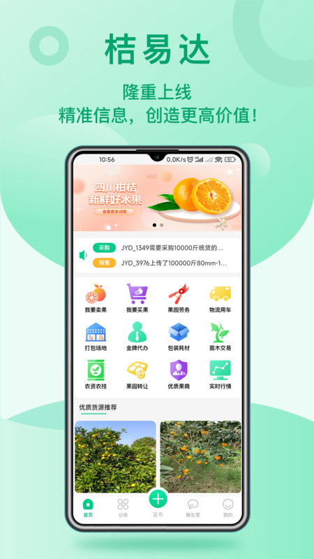 桔舍 安卓版 下载