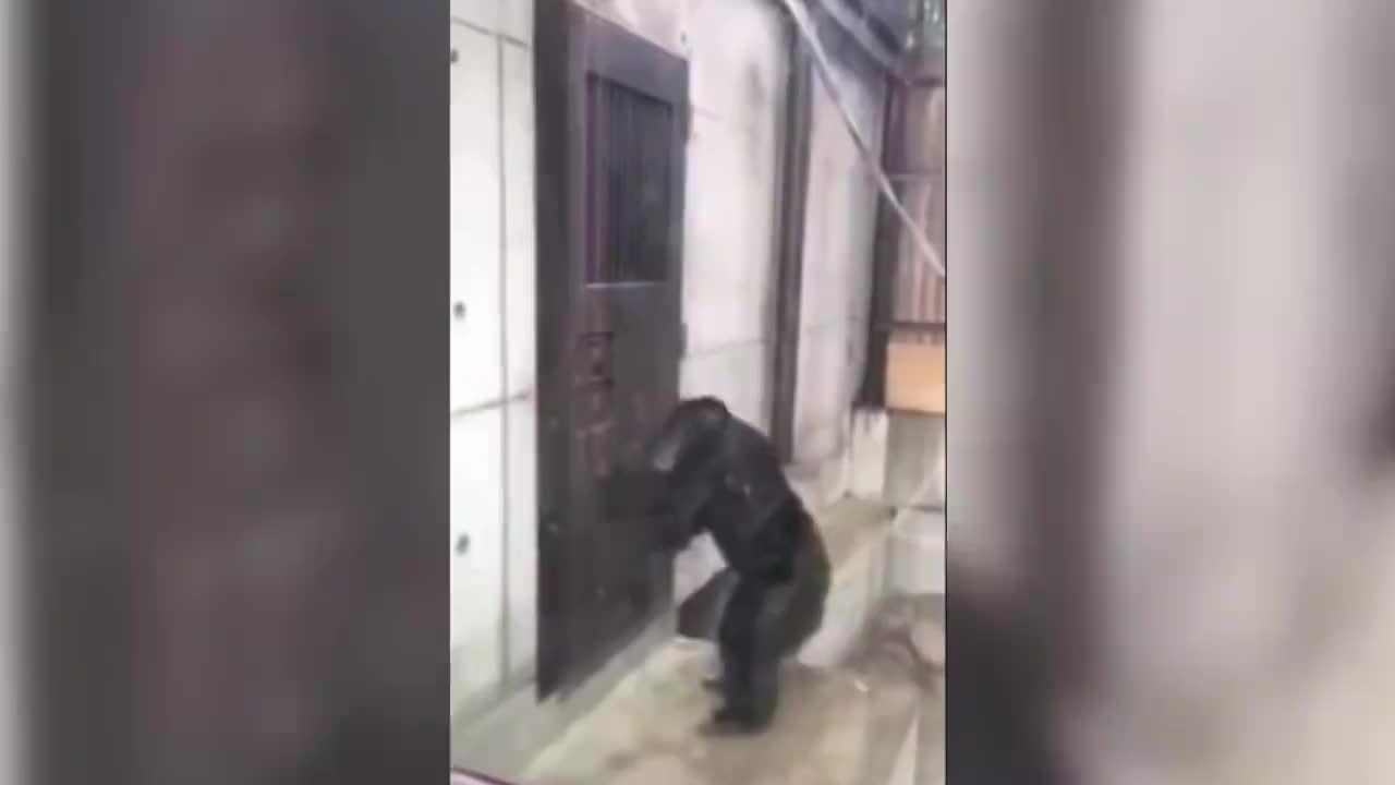 ��ͼ3D��ͼ ��׿�� ģ��չʾ