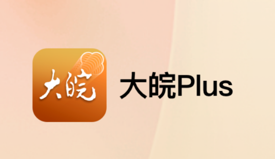 大皖Plus 安卓版 界面截图