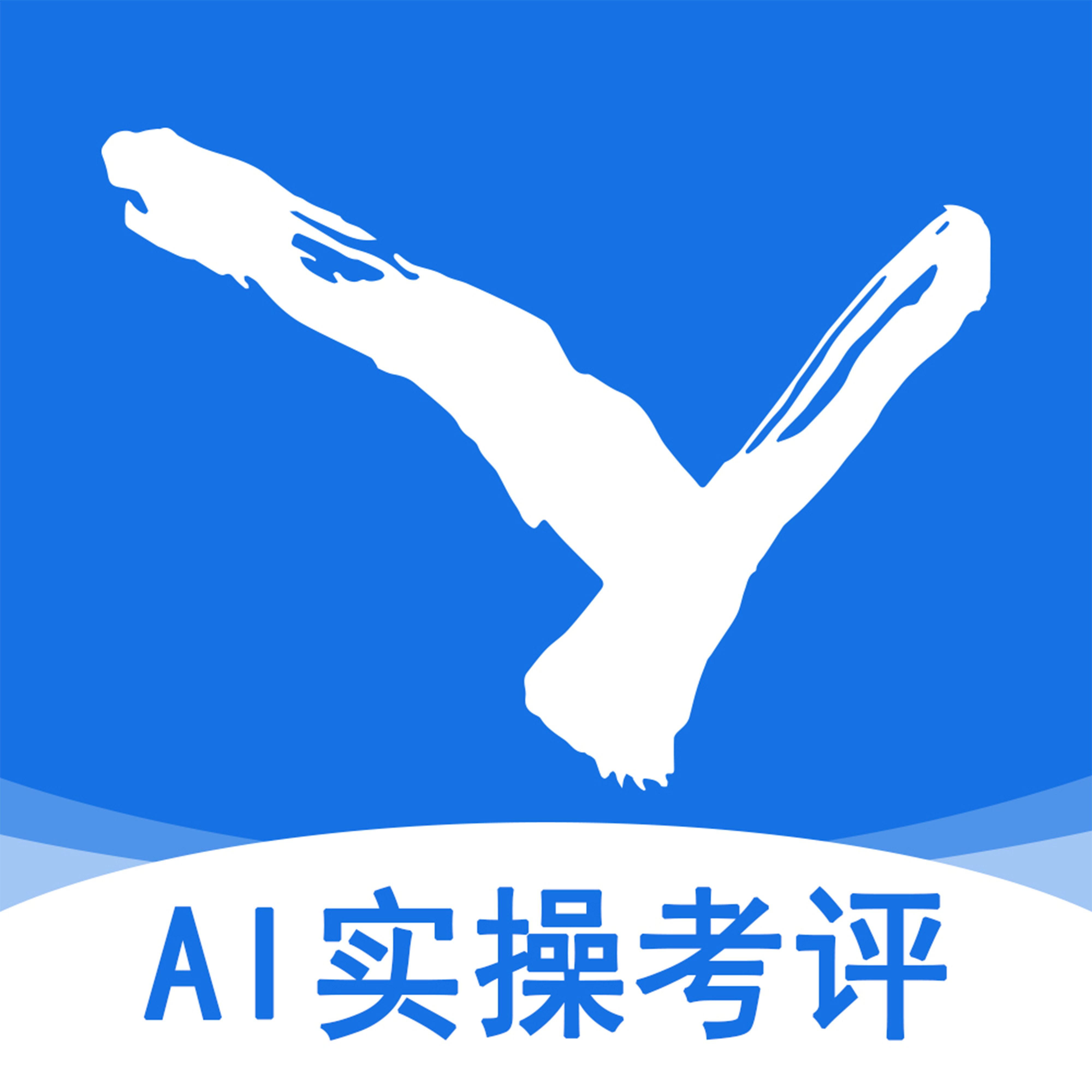 AIʵ�ٿ���-������ϰ���⹤��v1.0.6 ��׿��