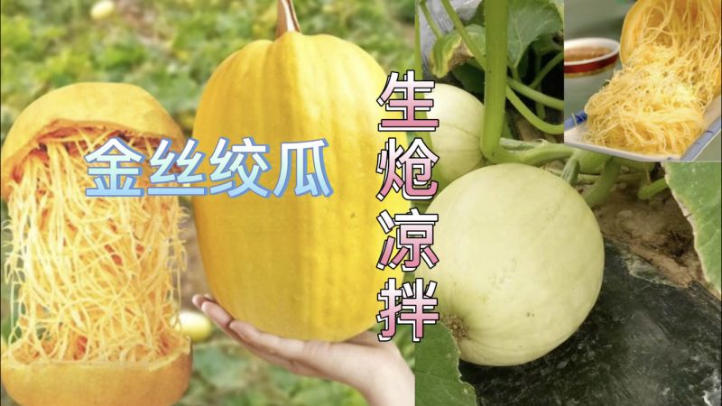 �����辭�ڱ� ��׿�� �����ͼ