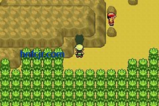 �ڴ����־����̱�ʯ5.5����ָ������