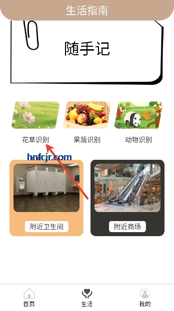 �ʳ̳���app���°汾