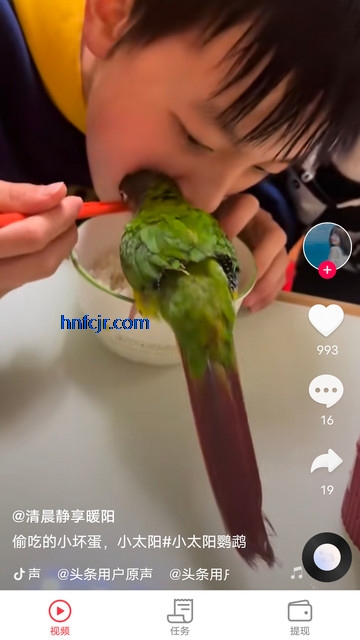 ε���ӽ�app�ٷ���