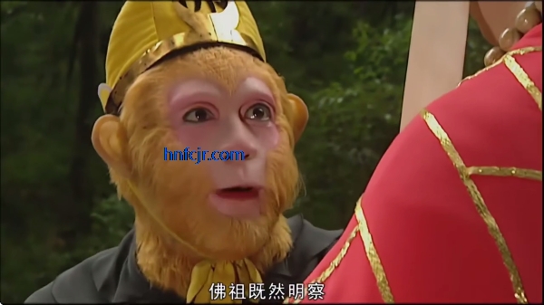 新时代电视家 新时代电视家