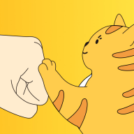 ��èapp���°汾v2.9.51 ��׿��