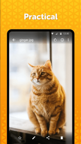 Simple Gallery中文版截图3