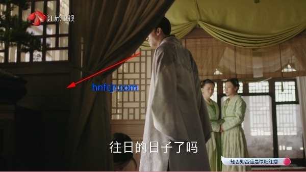 小鹦鹉电视TV直播最新版 小鹦鹉电视TV直播最新版