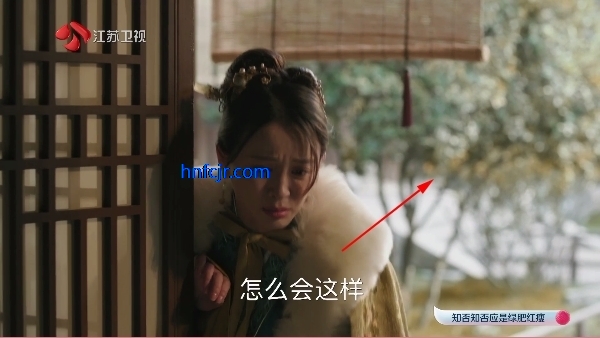 小鹦鹉电视TV直播最新版 小鹦鹉电视TV直播最新版