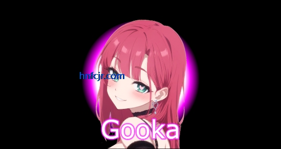 gooka��Ѱ����¼������