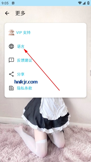 �����������ƽ��2026���°�