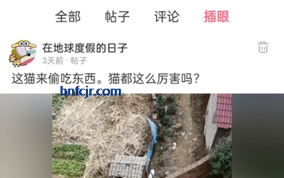 ƤƤϺapp���ذ�װ�ٷ���