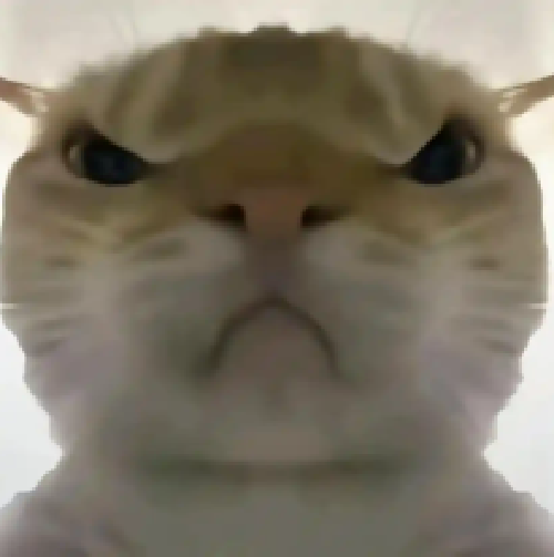 Ѱ�����������ΰ�v2.0 ��׿��