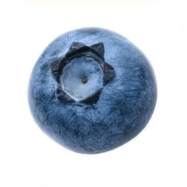 ��÷�ȶ�����6.0���°�v6.0 ��׿��