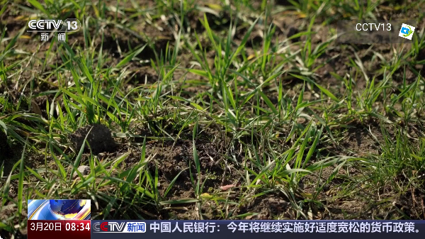 壁虎TV电视直播截图3