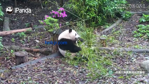 �乾tv���Ӱ�