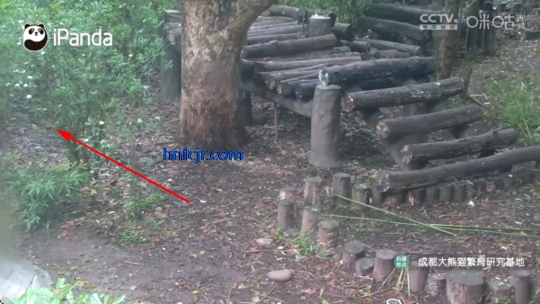 �乾tv���Ӱ�