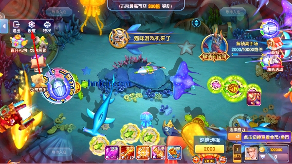 ���������Ӯ����