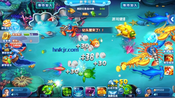 ���ֲ���Ӯ���Ѱ�