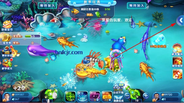 ���ֲ���Ӯ���Ѱ�