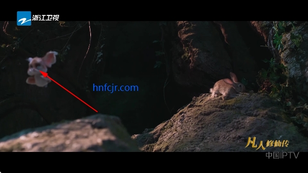 �ú�ֱ��tv���Ӱ�