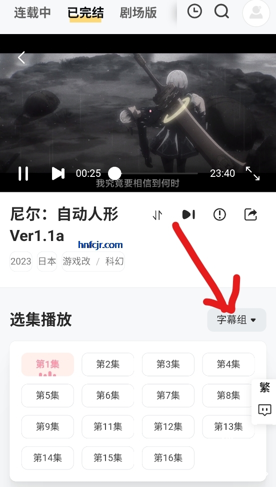 Animoe��������