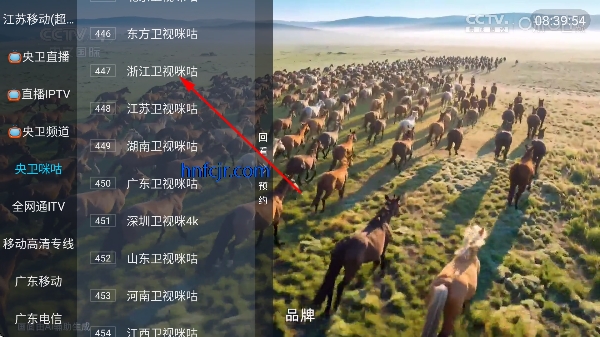 ȫ������ֱ����ѹۿ�����